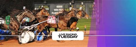 Live Harness Racing in Wilkes.